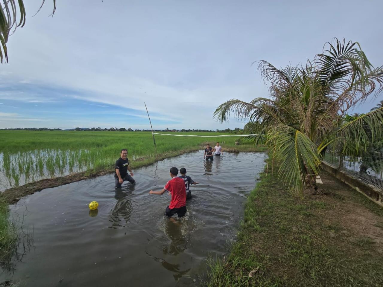 Dangau Sala D'Kontena Alor Setar Exterior foto